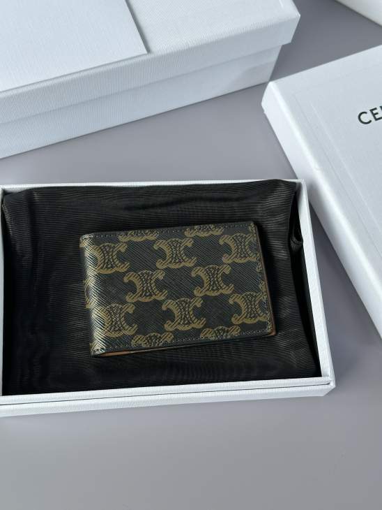 Picture of Celine Wallets _SKUfw242324617fw